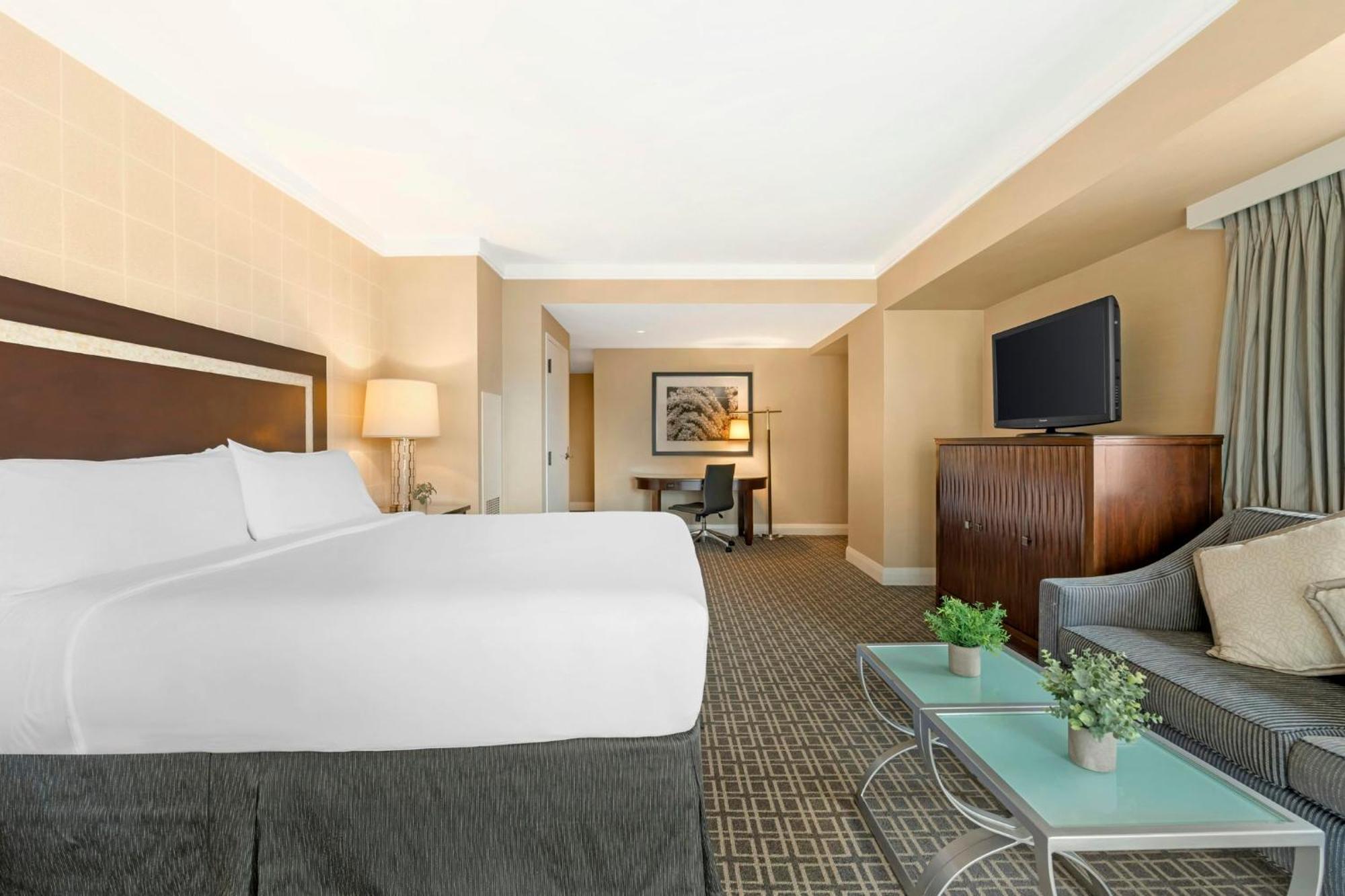 Premier View Room 1 King Bed